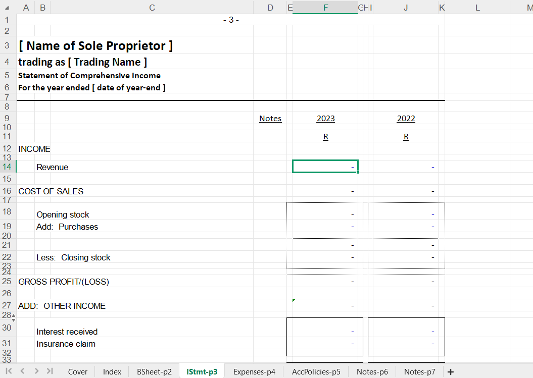 Annual Financial Statements for a Sole Proprietor Spreadsheet