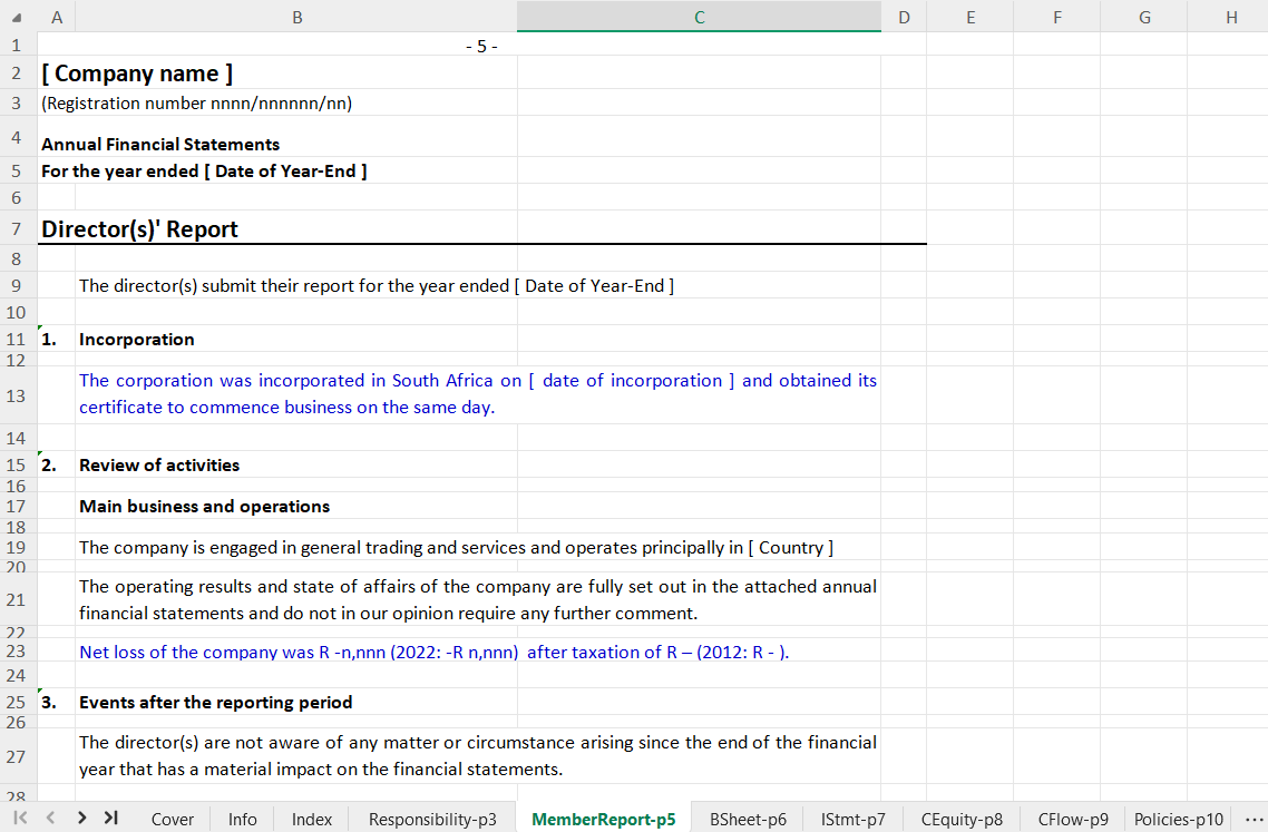 Annual Financial Statements for a Company Spreadsheet