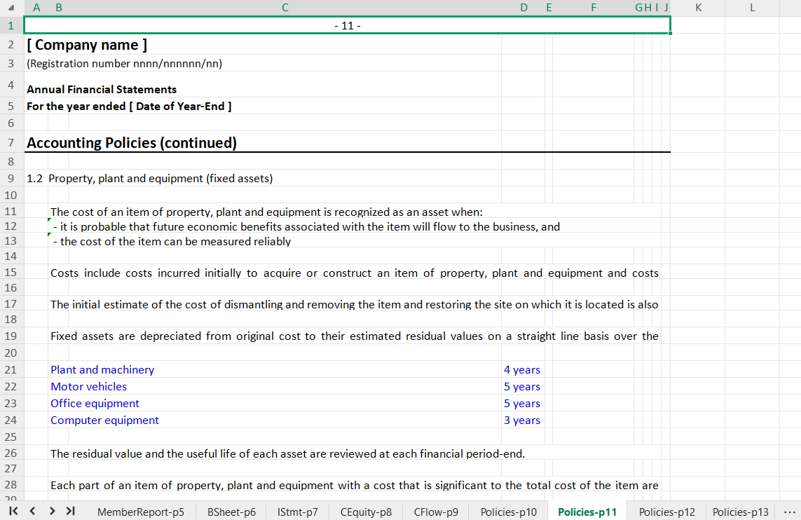 Annual Financial Statements for a Company Spreadsheet