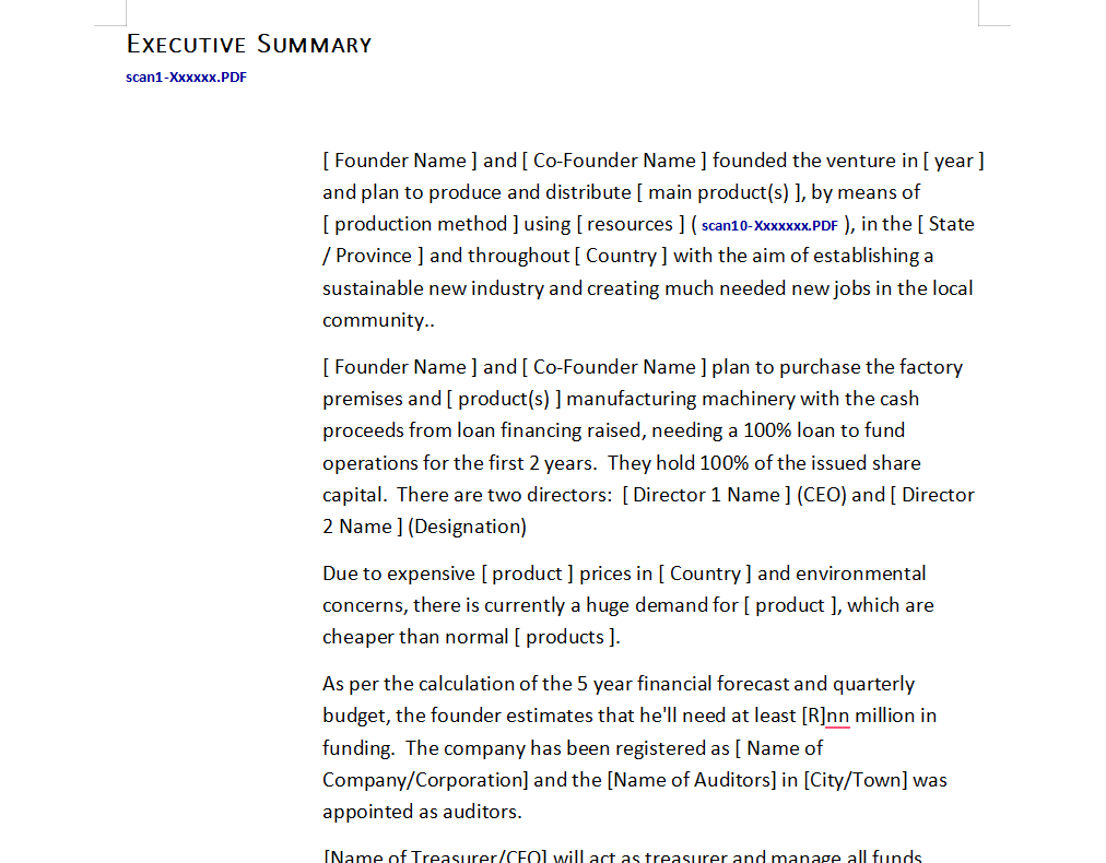 Business Plan Template and Financials