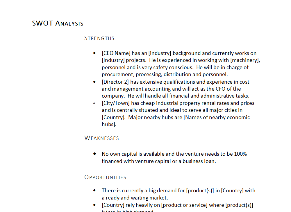 Business Plan Template and Financials