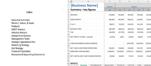 Business Plan Template and Financials